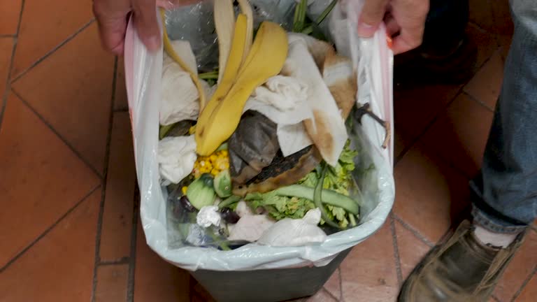 Best Construction Debris Removal  in Potterville, MI